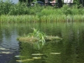 20170611_103515